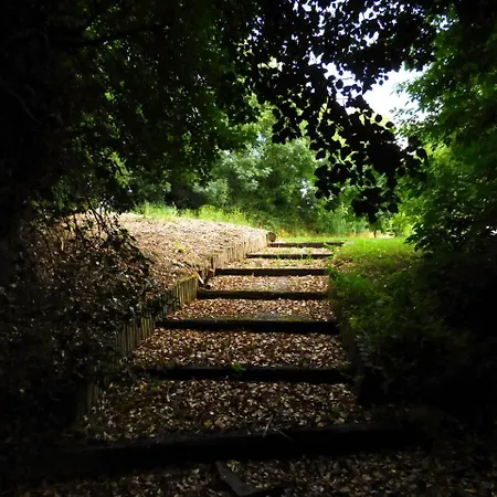 Ash House Calverstown