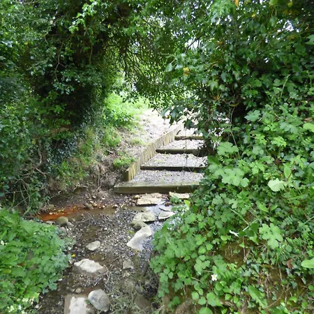 Panzió Ash House Calverstown