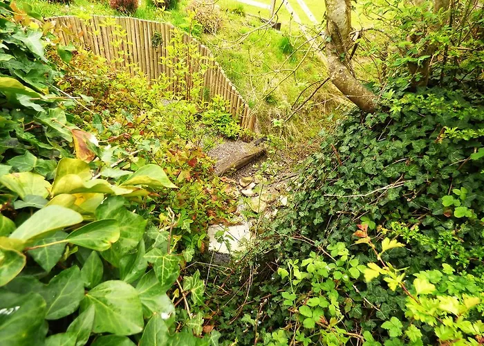 Couette-café Ash House