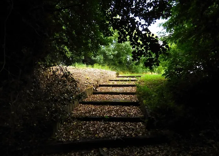 Ash House Calverstown