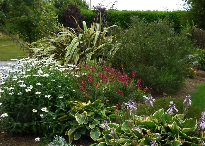 Couette-café Ash House