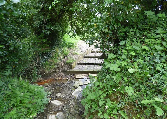 Nocleg ze śniadaniem Ash House Calverstown